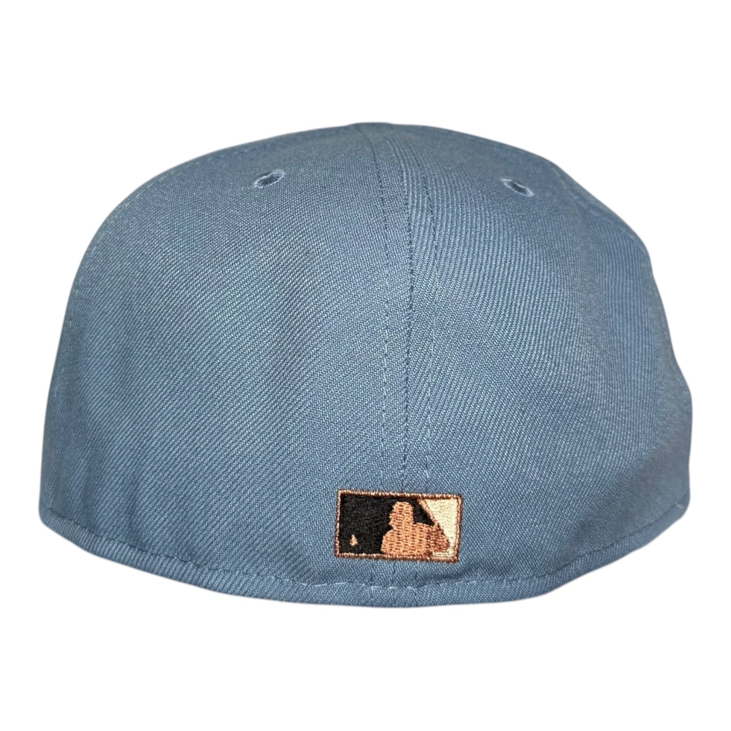 Houston Astros Astrodome the Original New Era 59Fifty Fitted Hat with Whatafitted Pin