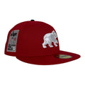 New Era Chicago Cubs "Be alert for foul balls!" 59Fifty Fitted Hats